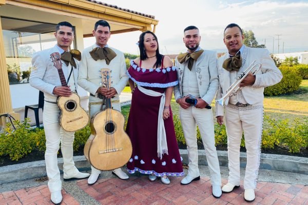 WhatsApp Image 2026-01-06 at 6.17.53 PM (1)